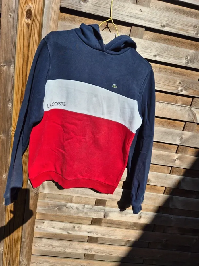Sweat à capuche Lacoste
