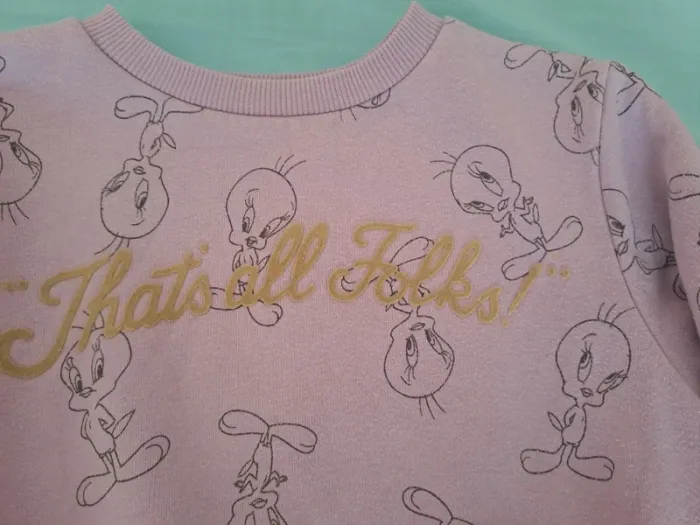 Sweat Titi (Tweety) Warner Bross - photo numéro 2