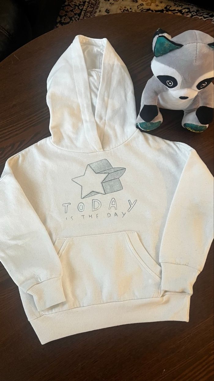 Sweat a capuche garçon 3-4 ans - photo numéro 5