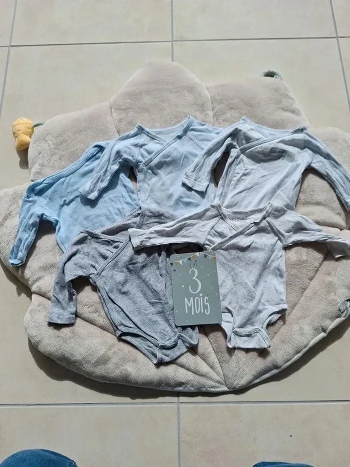 Lot de 5 bodies