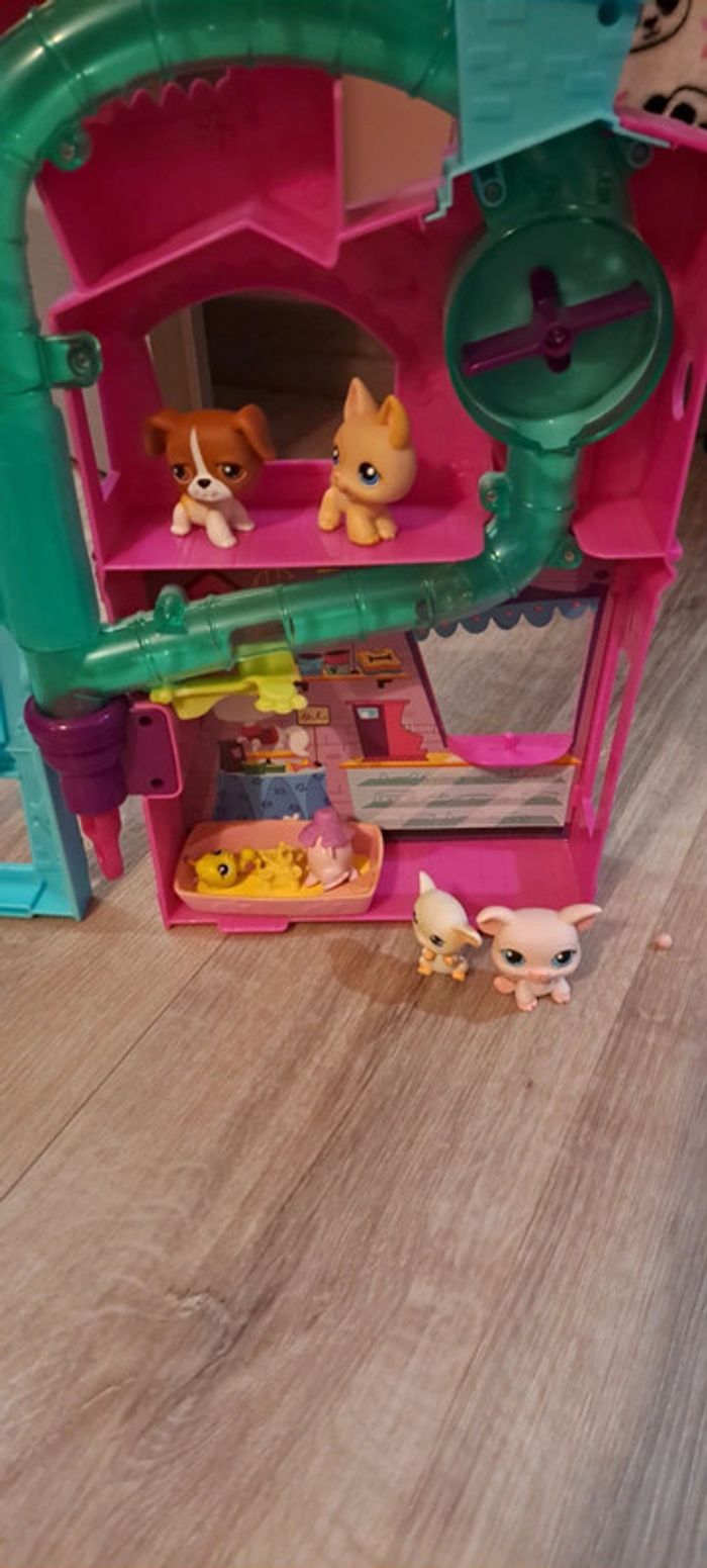 Pet Shop - photo numéro 2