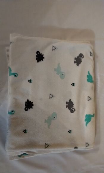 Couverture dinosaure