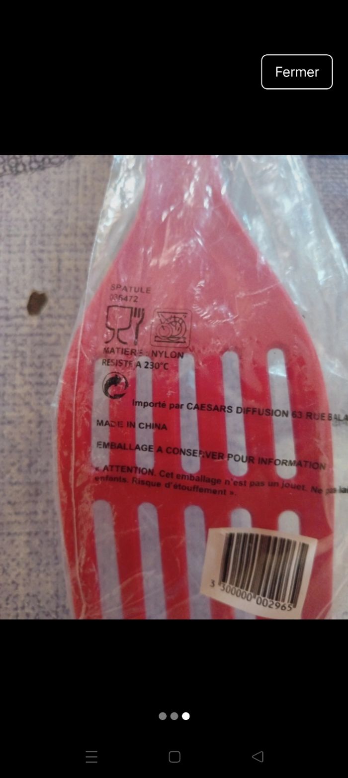 Spatule - photo numéro 3