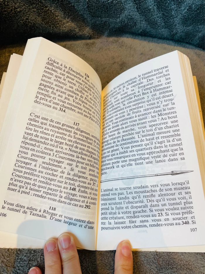 Livre dont vous êtes le héros le loup solitaire la traversée infernale V1 - photo numéro 7