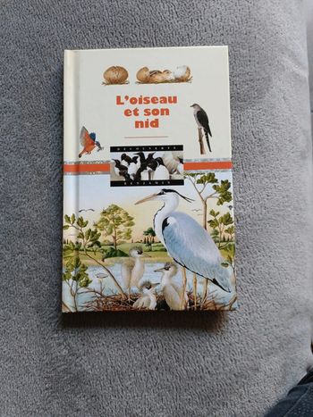 L'oiseau et son nid
