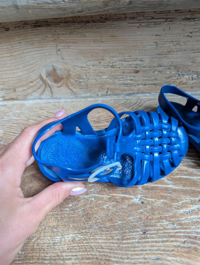 Véritables méduses Made in France 23 - photo numéro 2