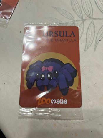 magnet ursula zoomalia
