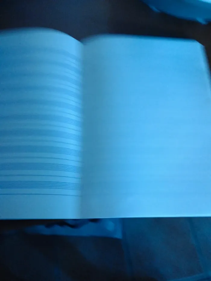 Cahier Neuf Musique & Chant - photo numéro 4