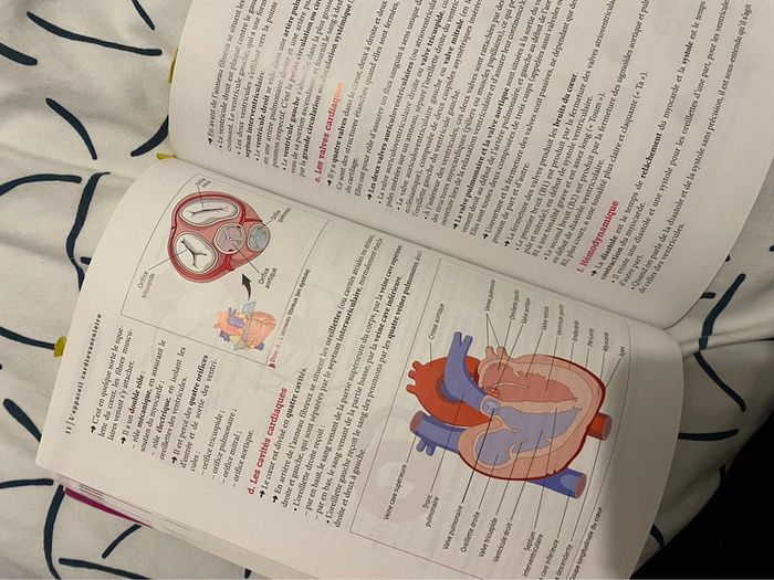 Livre biologie fondamentale et grandes fonctions - photo numéro 8