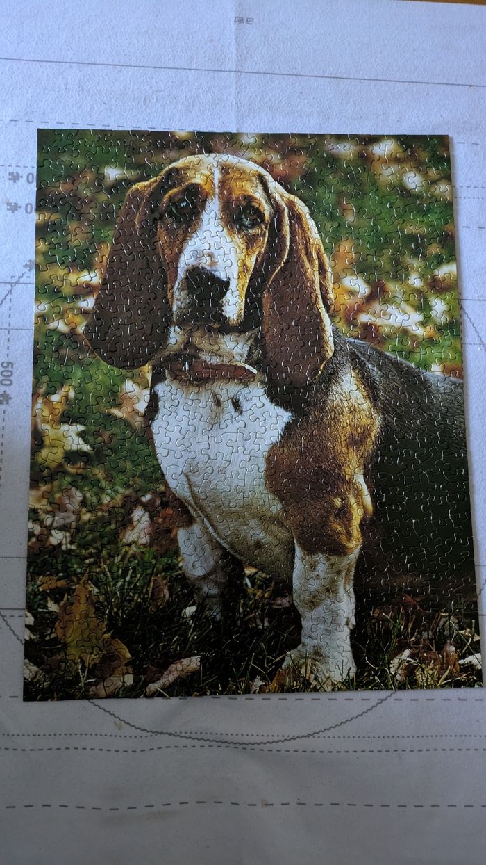 Puzzle - photo numéro 2