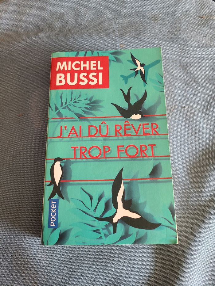 Livre J'ai du rêver trop fort