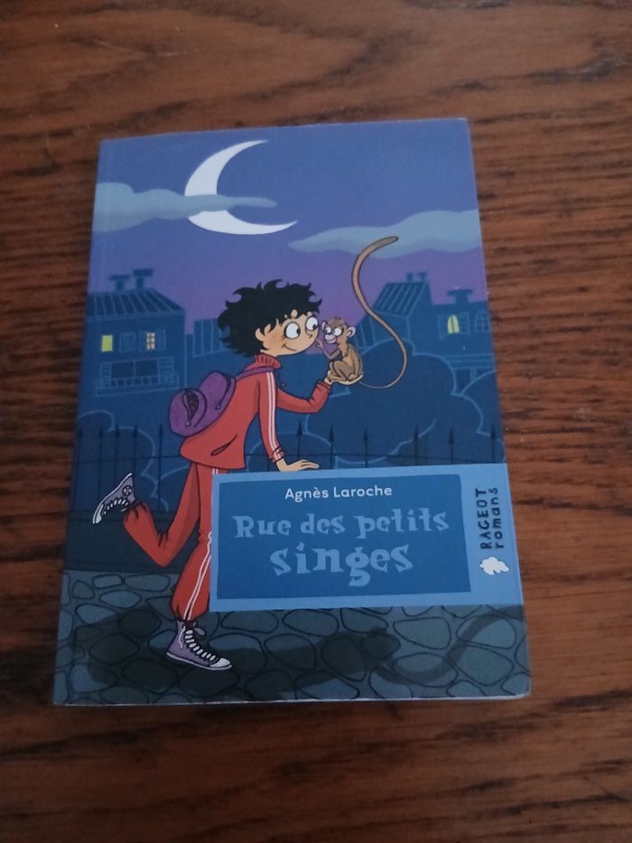 Rue des petits singes - photo numéro 1