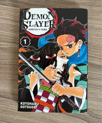 Manga « Demon Salyer »