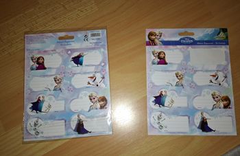 Lot de 15 étiquettes cahiers