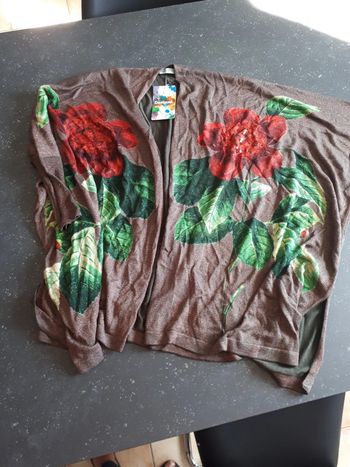 Gilet oversize neuf desigual taille S