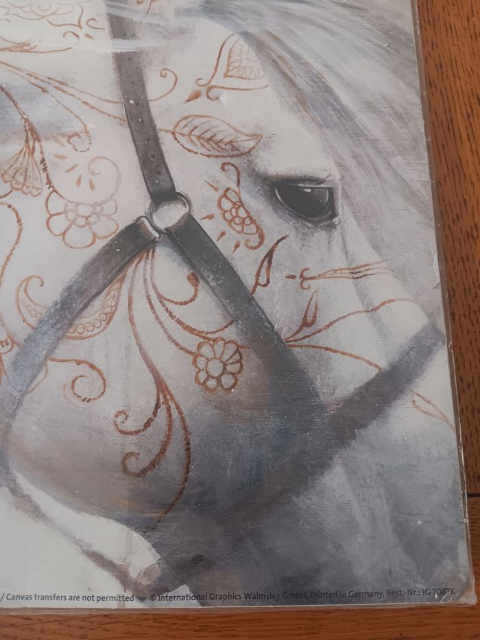 Cadre cheval - photo numéro 3