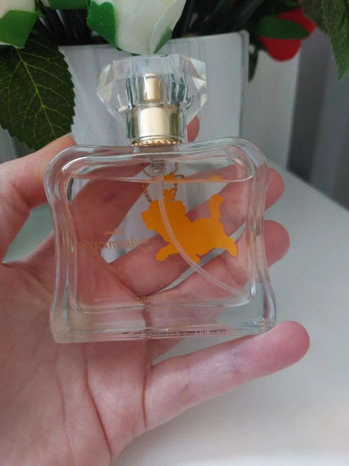 Parfum disney - photo numéro 3