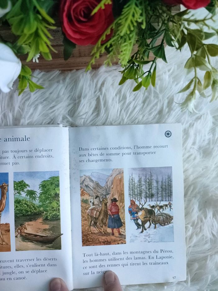 Ma première encyclopédie les transports - photo numéro 4