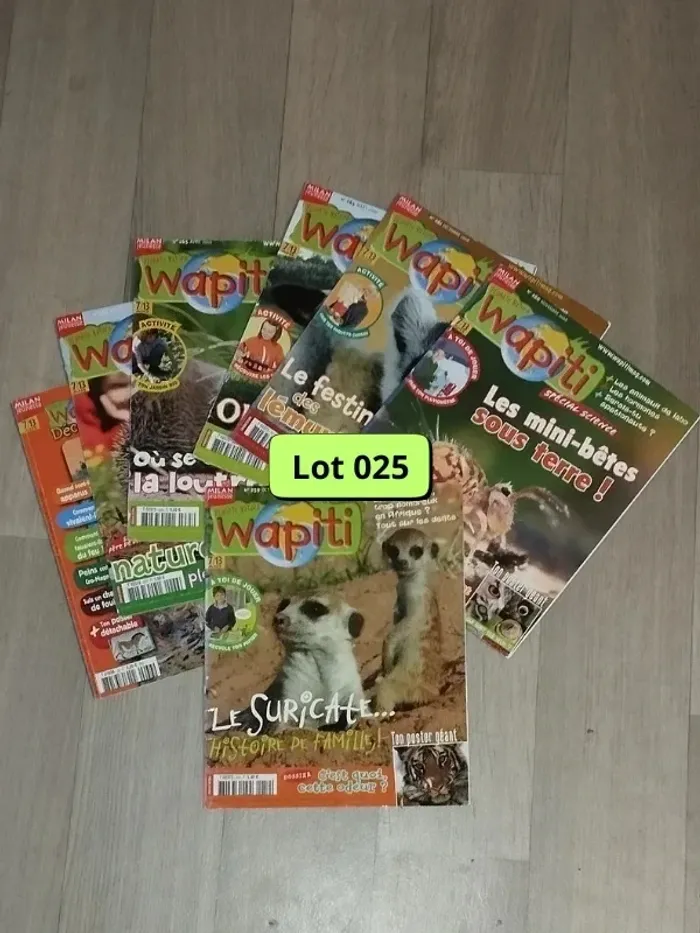 Lot de 7 magazines Wapiti année 2008-09 L025