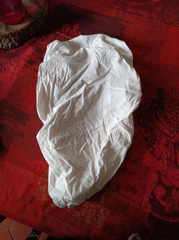 Draps housse landeau