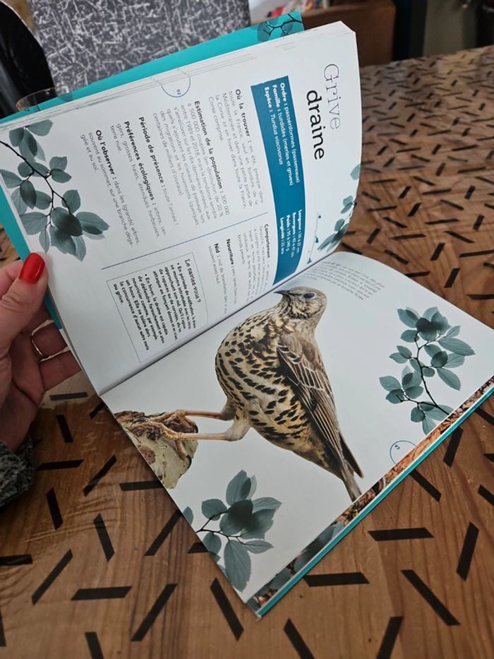 Livre sur les oiseaux - photo numéro 9