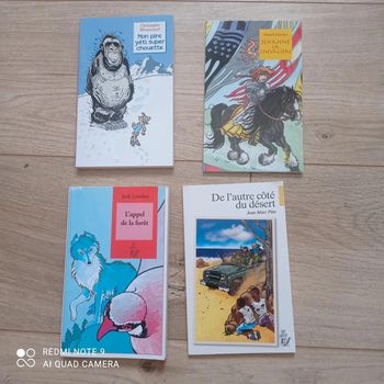 Lot de 4 livres