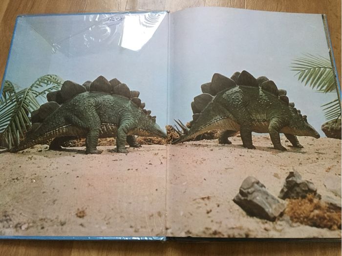Animaux préhistoriques ou dinosaures - photo numéro 1