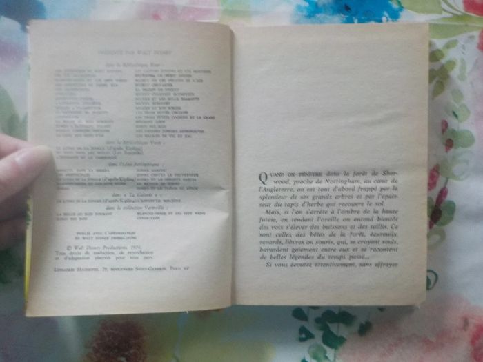 2 Bibliothèque Rose Robin des Bois et La Belle et le Clochard - photo numéro 7