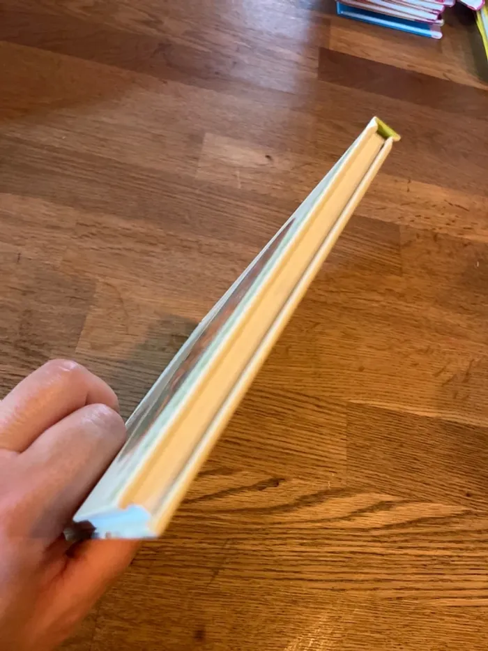 Livre Martine un mercredi pas comme les autres - photo numéro 6