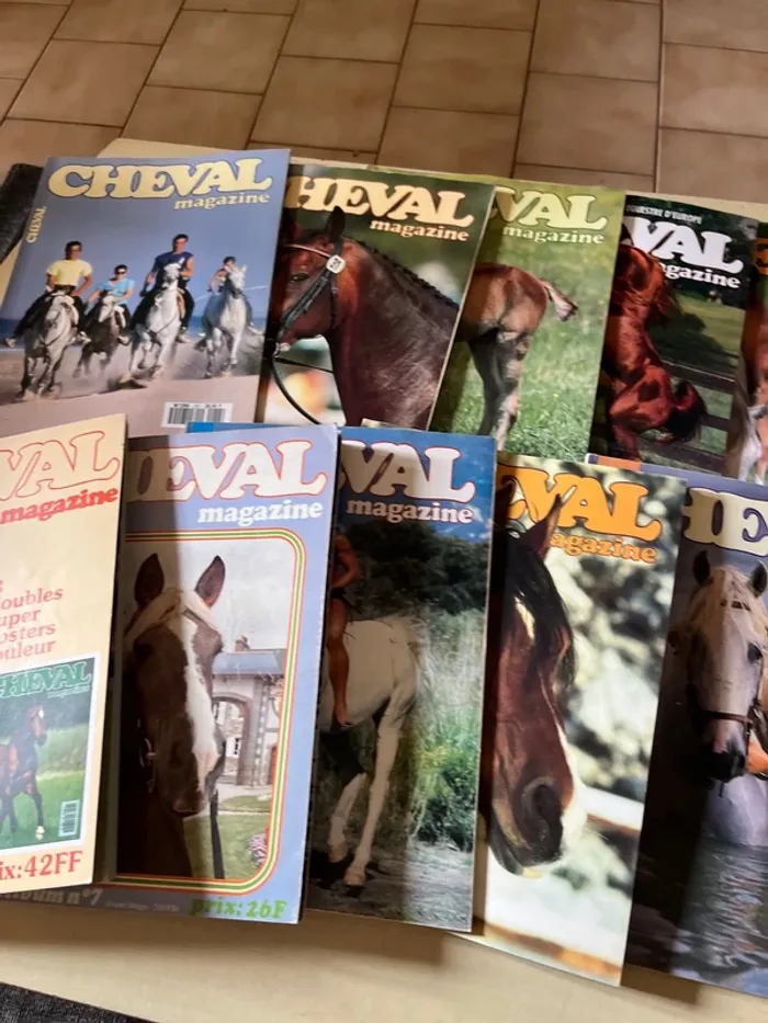 Lot de 10 anciens magazines sur les chevaux - photo numéro 3