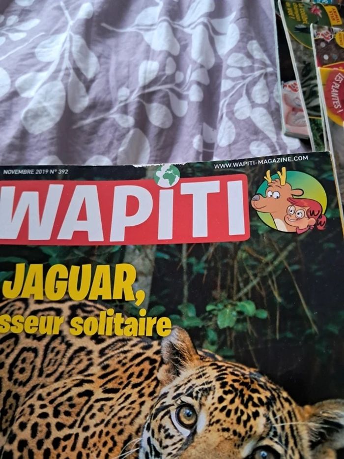 Lot 12 magazines wapiti - photo numéro 6