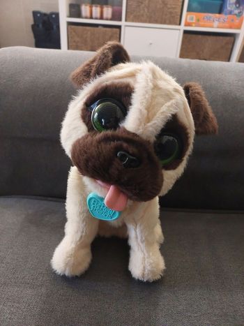 Chien interactif