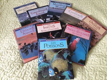 Lot livres "les animaux du monde entier"