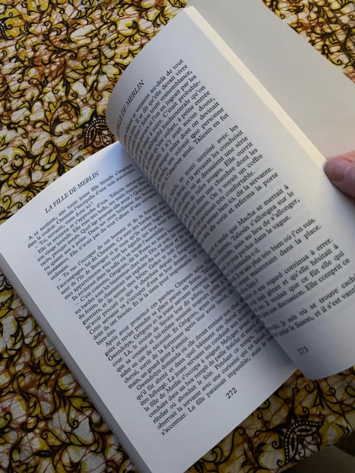 La fille de merlin - photo numéro 6