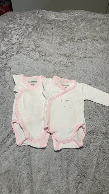 Lot de 2 bodies manches longues bébé fille