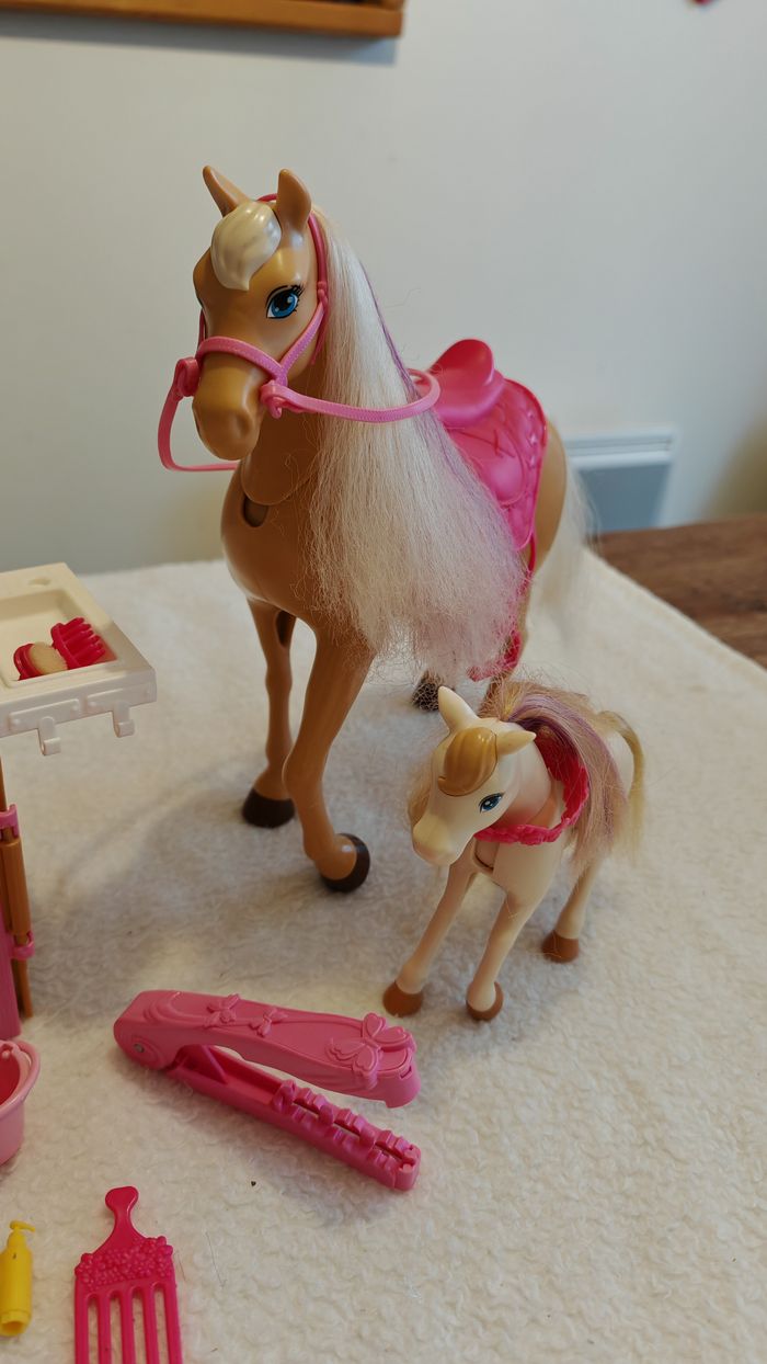 Barbie toilettages - photo numéro 3