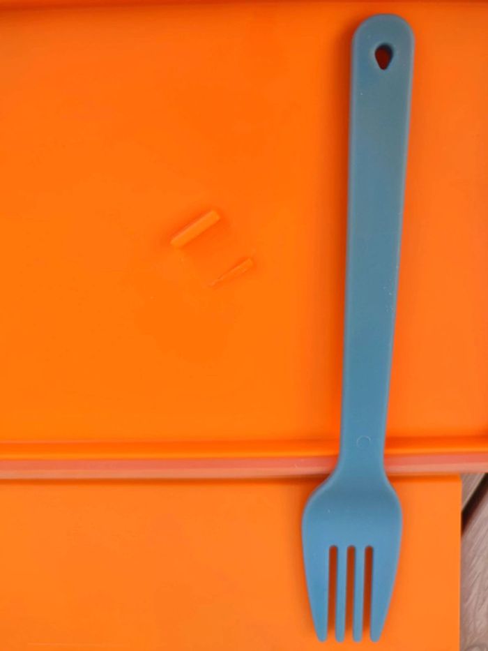 Boite lunch - photo numéro 5