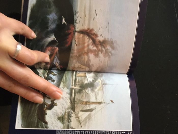 Livre : vie et mort des baleines - photo numéro 4