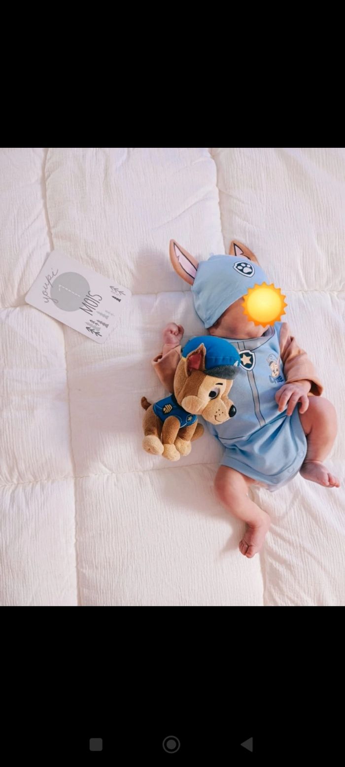 Bodie Chase Pat patrouille