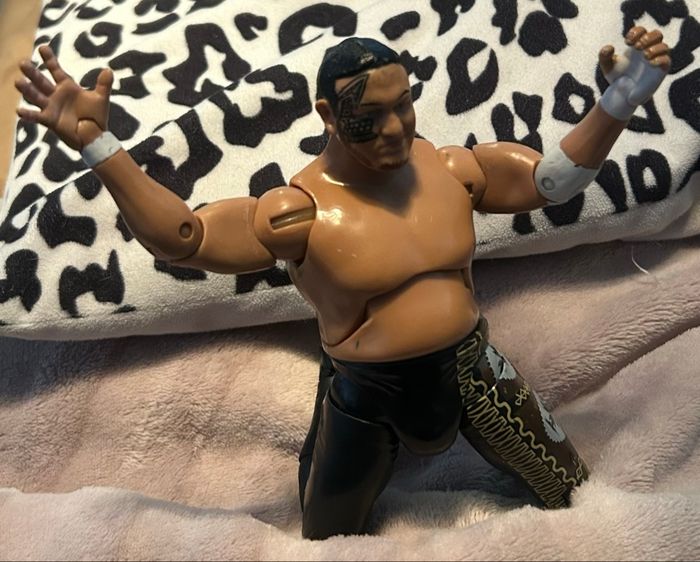 TNA Samoa Joe - photo numéro 3