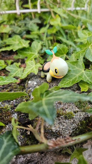 Super figurine Pokemon Nintendo tortipouss