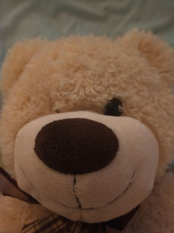 Ours en peluche beige - photo numéro 3