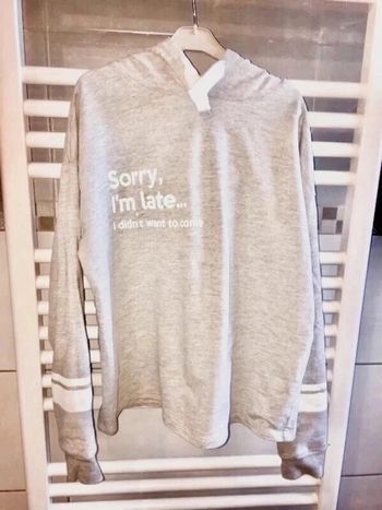 Sweat à capuche taille 12 ans en tbe à 5 euros