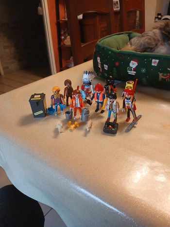 9 personnages divers playmobil avec accessoires