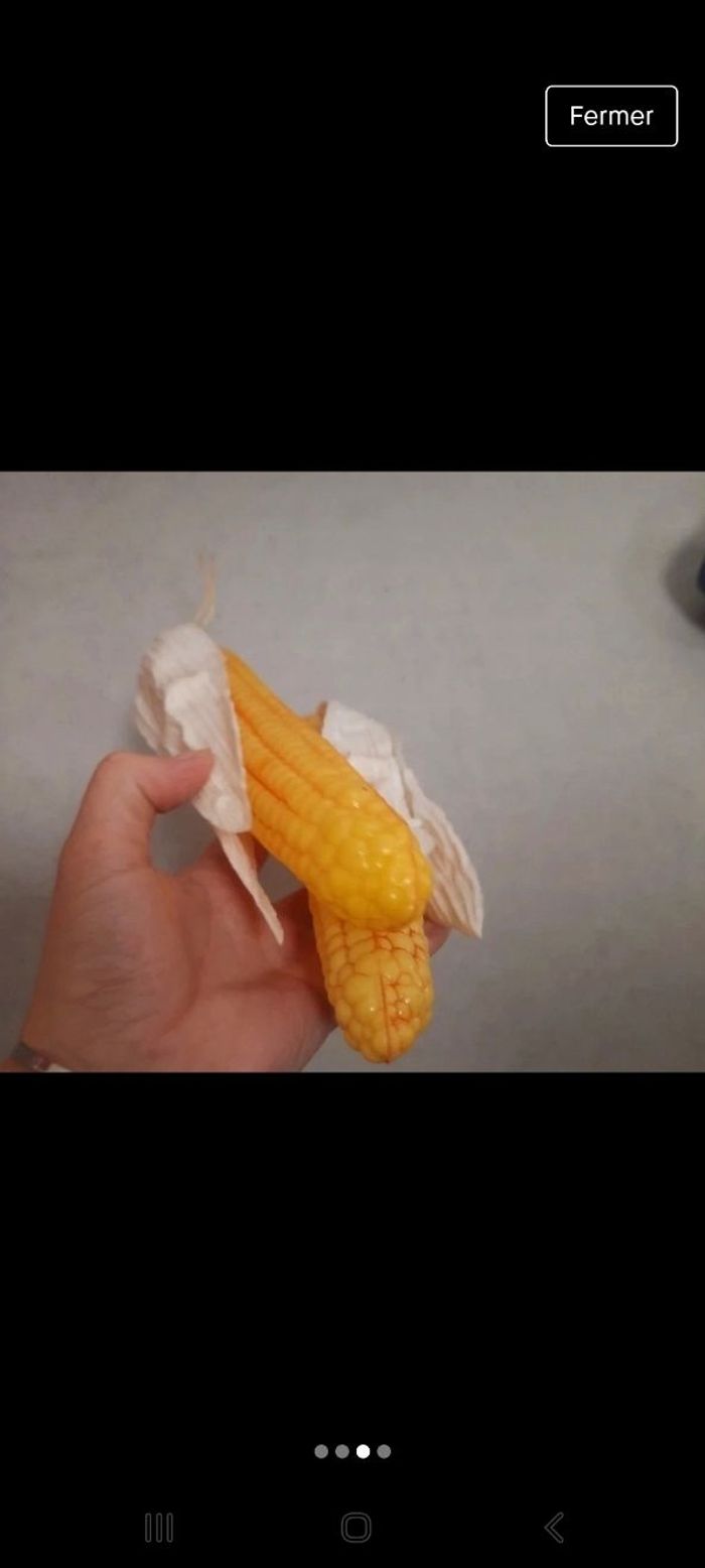 2 grand épi de mais taille réelle - photo numéro 2