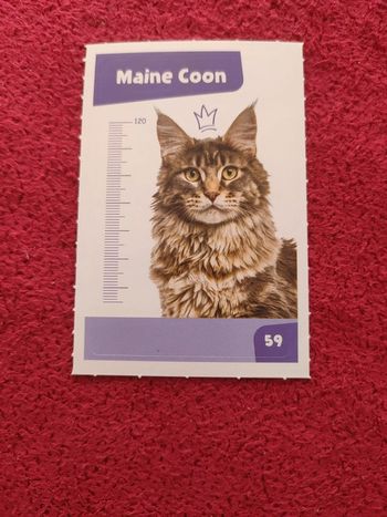 Carte nos amies les bêtes