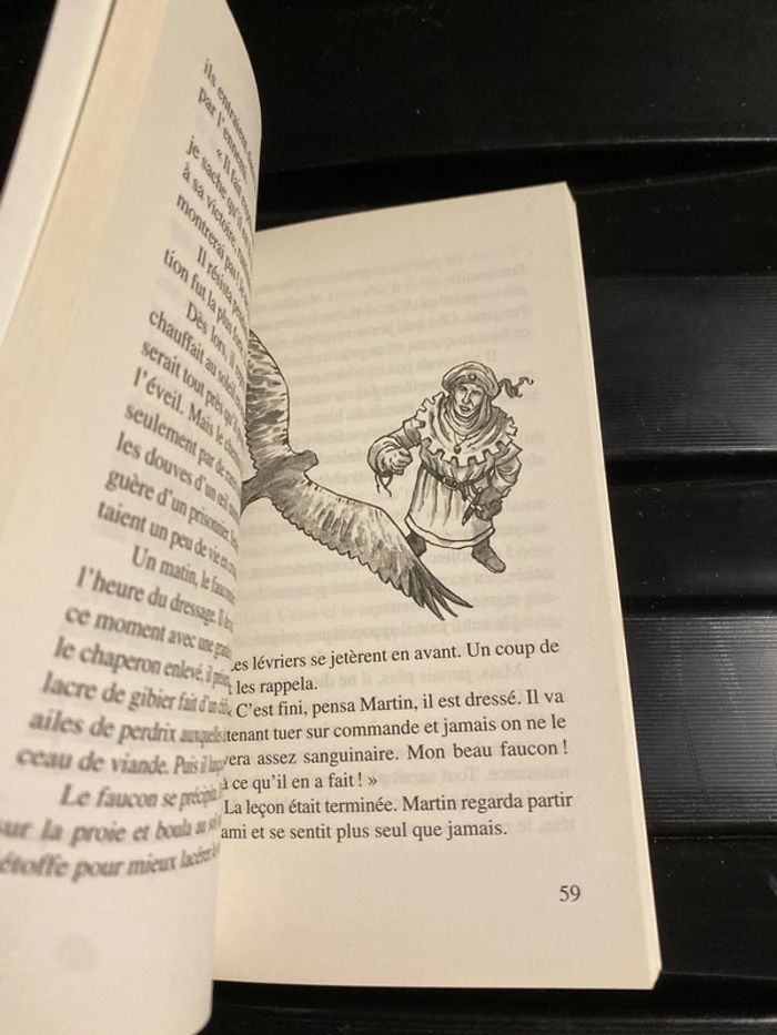 Le faucon déniché de Jean Côme Nogues - photo numéro 2