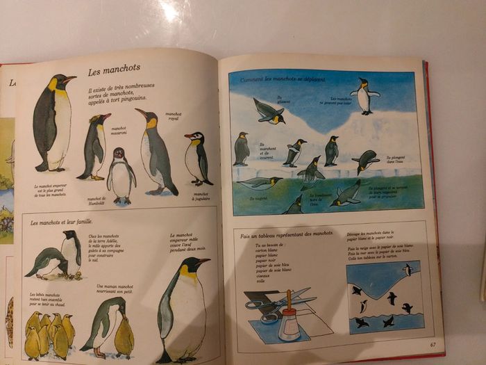 Ma première encyclopédie - photo numéro 3