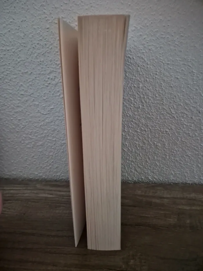📚 livre l'infiltré - photo numéro 3