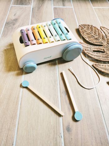 🎶Xylo roller sweet cocoon 2 en 1 marque Janod